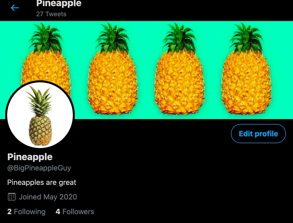 screenshot of a bot page