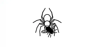Introducing Housefly: A Playground for Web Scraping cover image